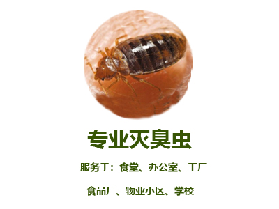 專業(yè)滅臭蟲