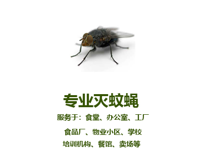 專業(yè)滅蚊蠅